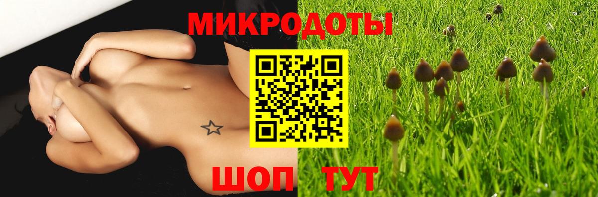 Богданович  Псилоцибиновые грибы Psilocybine cubensis  Псилоцибиновые грибы MAGIC MUSHROOMS  Вход с VPN 